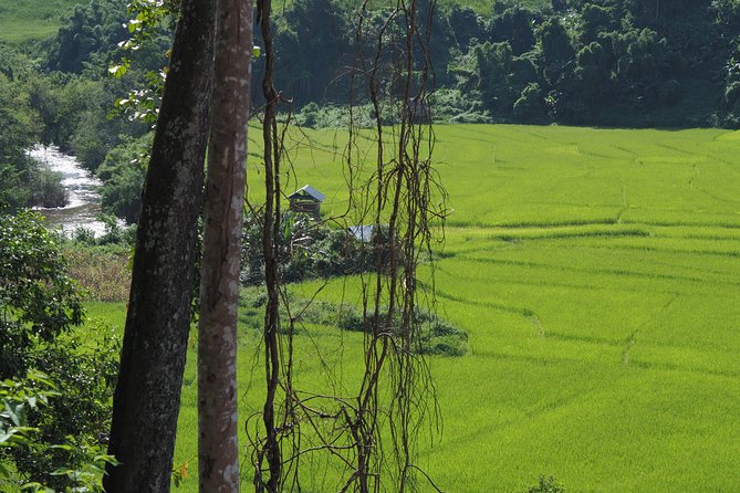 Nalan Trail Kmu Ethnic Experience - 2days forest trek with homestay. - Learning about forest food and village life as you move through mountain valleys