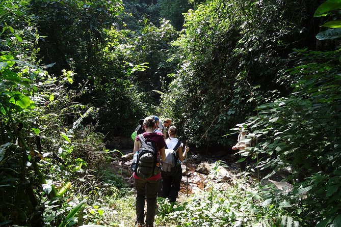 Nalan Trail Kmu Ethnic Experience - 2days forest trek with homestay. - Who this trek is best for (and who should pass)