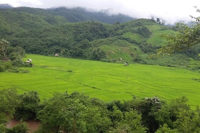 Nam Ha NPA 3 Day Wildlife Jungle Camp and Village Homestay Trek - Day 3: Coffee or Tea, Crossbow Shooting, Rice Pounding, Then an Uphill Forest Hike