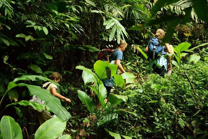 Nam Ha NPA 3 Day Wildlife Jungle Camp and Village Homestay Trek - Fitness, Comfort, and Who This Trek Fits Best