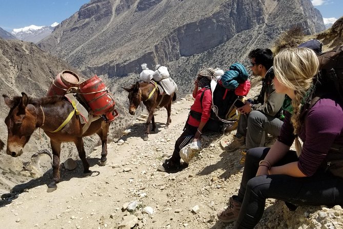 Nar Phu Valley Trek - 12 Days - Why Nar Phu feels so different from other treks