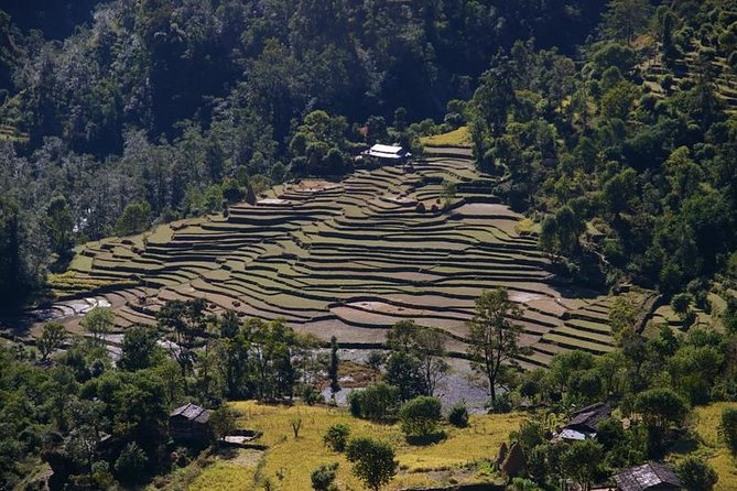 Nepal Round Tour with Annapurna Trek 14 Days - Kathmandu Valley stops: Pashupatinath, Boudha Stupa, Patan, Bhaktapur