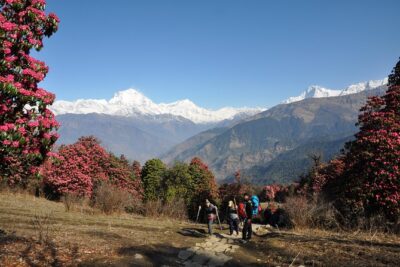 Nepal Round Tour with Annapurna Trek 14 Days - Annapurna trek: 7 days of guesthouses, villages, and big views