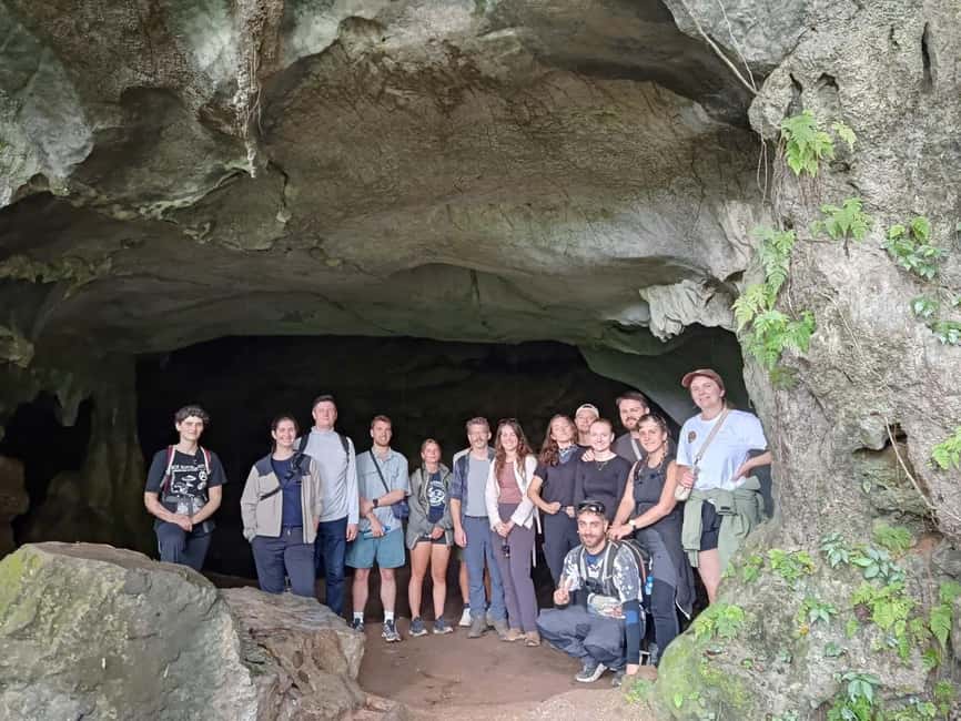 Ninh Binh: Cuc Phuong Jungle Trek, Wildlife & Ancient Caves - Key highlights worth clocking