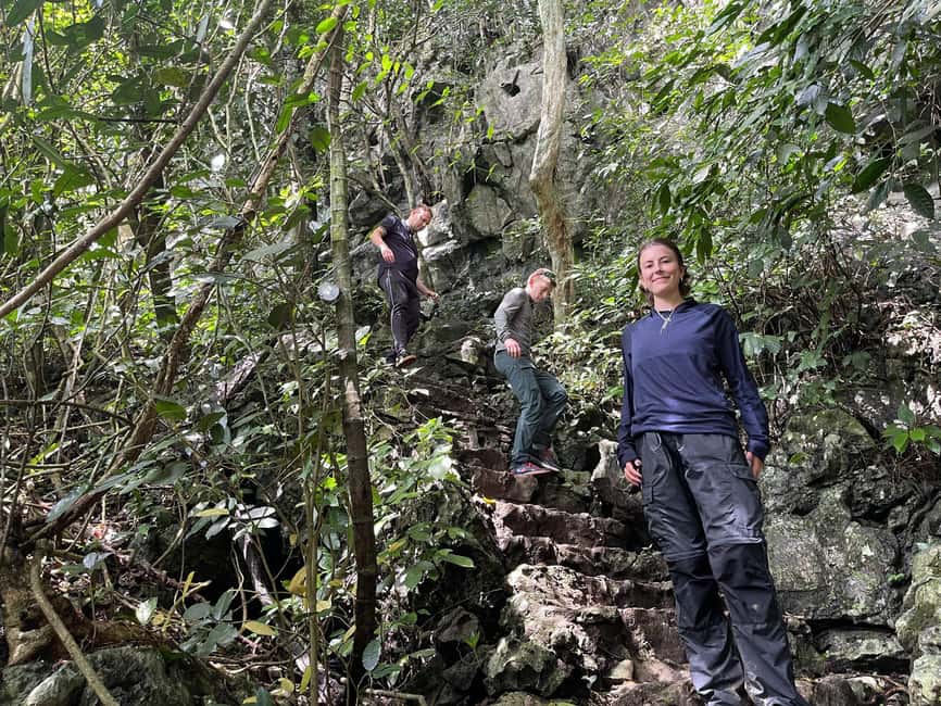Ninh Binh: Cuc Phuong Jungle Trek, Wildlife & Ancient Caves - Jungle trek to the Thousand-year-old Cho Tree