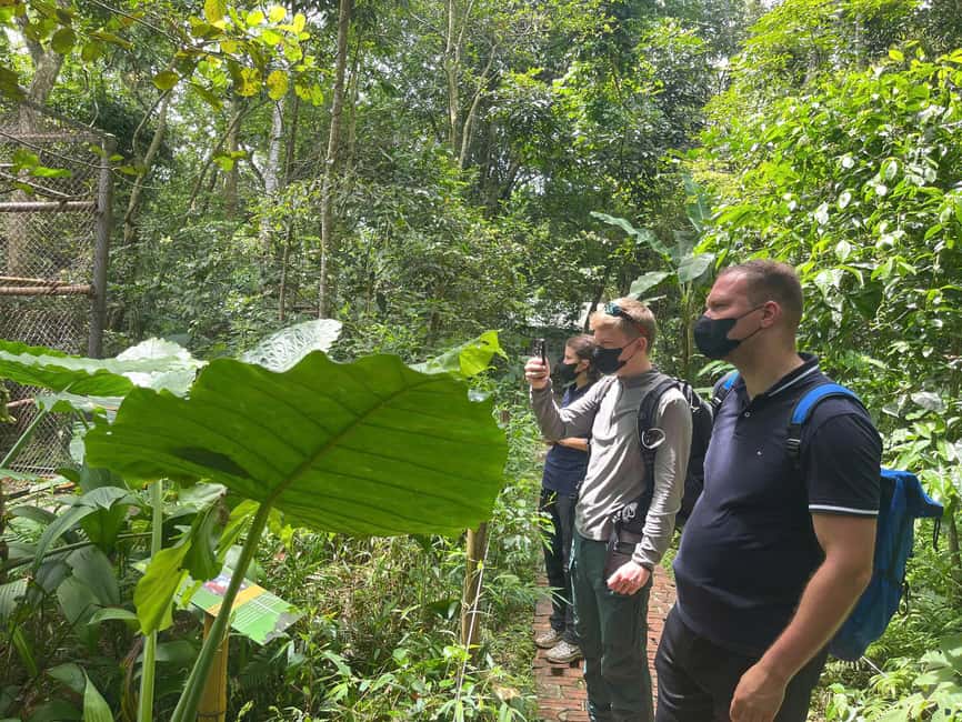 Ninh Binh: Cuc Phuong Jungle Trek, Wildlife & Ancient Caves - Forest lunch and the biodiversity loop after