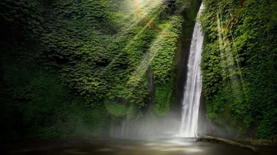 North Bali: Explore Munduk Waterfall Trekking Experience - The Waterfall Circuit: Red Coral, Melanting, Labuan Kebo, Belong