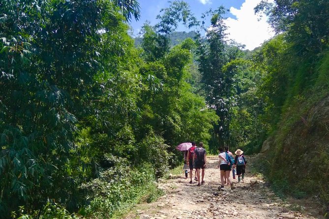 Number one top rated ethical cultural trekking and homestay by ETHOS - Day 1: from ETHOS to rice terraces, villages, and a steep 2 km climb