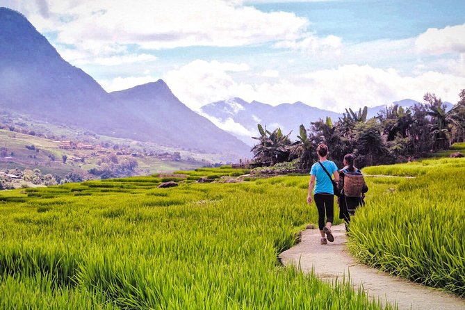 Number one top rated ethical cultural trekking and homestay by ETHOS - Day 2: choose your destination, then taxi back to Sapa