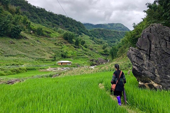 Number one top rated ethical cultural trekking and homestay by ETHOS - Evening homestay: dinner, shared time, and learning how village life moves