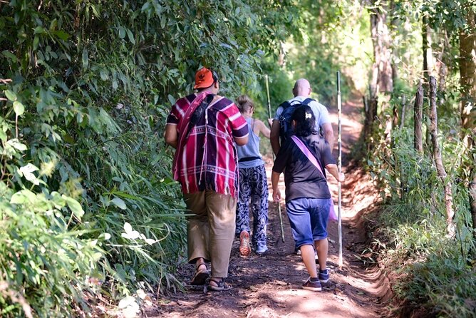 Off the Map Chiang Mai Jungle Coffee Trek Roast and Brew - Chiang Mai Old City pickup to Mae Wang start: morning flow that saves time