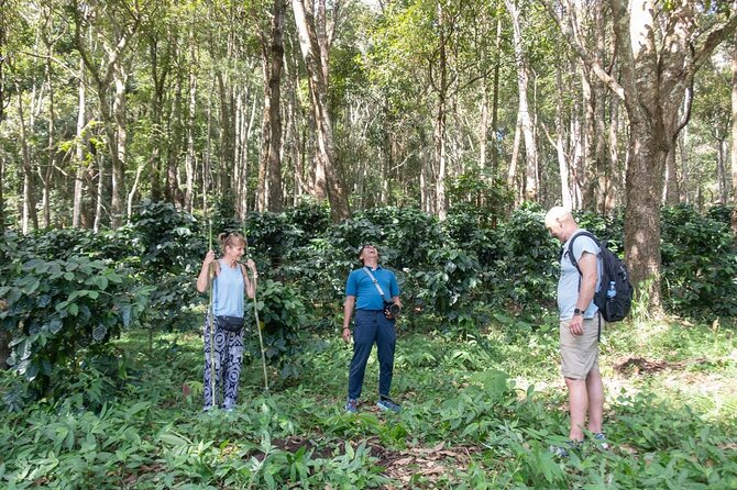Off the Map Chiang Mai Jungle Coffee Trek Roast and Brew - Farm-to-table Karen lunch: vegetarian, fresh, and actually satisfying