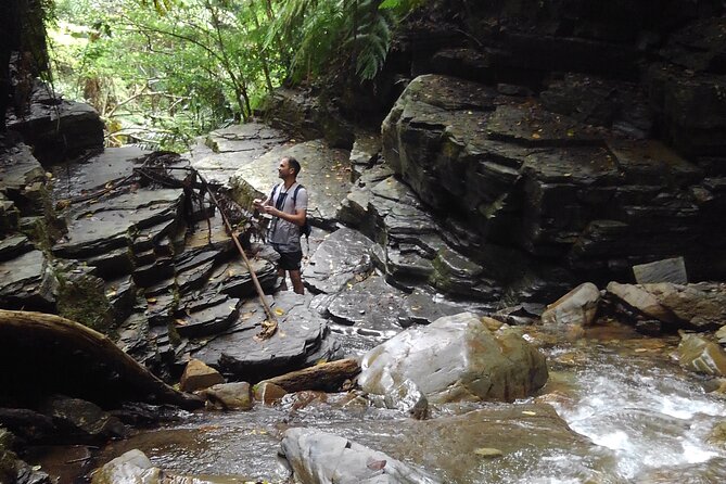 Okinawa Jungle Trails & Waterfalls – Private Yanbaru Tour - Key highlights to know before you go