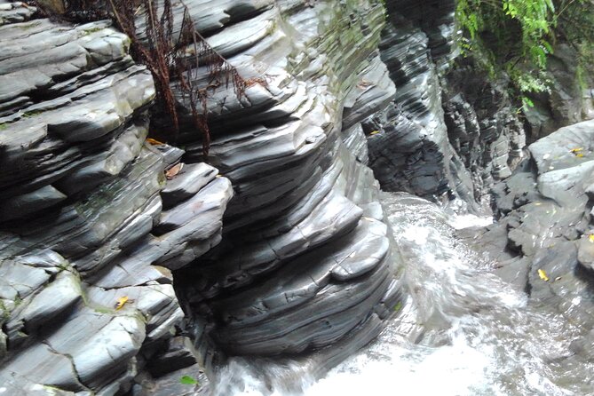 Okinawa Jungle Trails & Waterfalls – Private Yanbaru Tour - What to wear and pack so the jungle doesn’t win