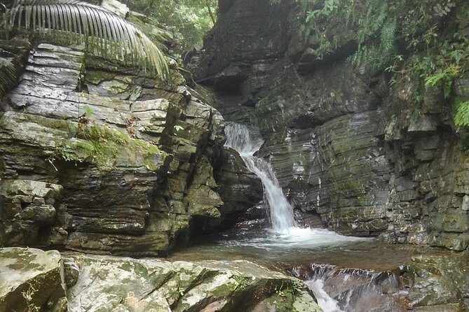 Okinawa Jungle Trails & Waterfalls – Private Yanbaru Tour - Price and value: is $69.02 a good deal for Yanbaru?