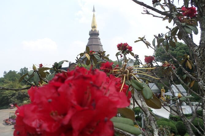 One day Doi Inthanon National Park & Trekking on Kew Mae Pan - Hmong hill tribe market and lunch: culture without the hard sell