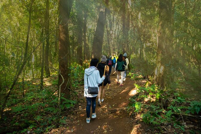 One day Doi Inthanon & Trekking at Pha Dok Siew - Wachirathan Waterfall: Spray, Photos, and Wet Shoes