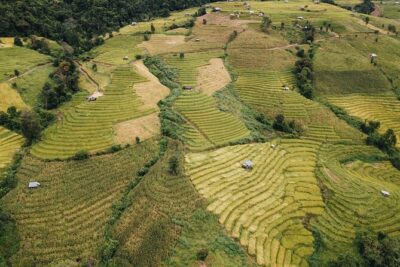 One day Doi Inthanon & Trekking at Pha Dok Siew - Doi Inthanon Summit Day: Rainforest Steps and Royal Gardens