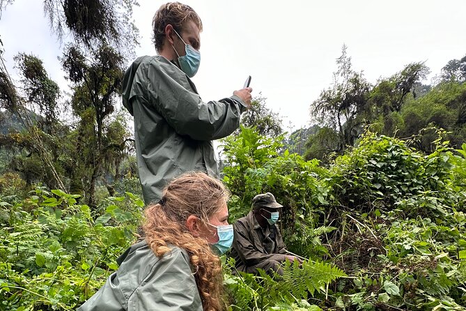 One Day Gorilla Trekking Rwanda & Iby'iwacu Cultural Village - Timing, Transport, and the Comfort Stuff That Actually Matters