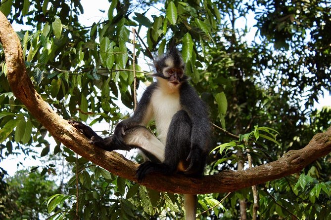 ONE DAY JUNGLE TREKKING 6-7 hours (see orang utan) + RAFTING in BUKIT LAWANG - Lunch and fresh fruit: a break that keeps the day on track