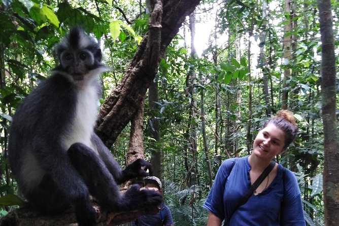 ONE DAY JUNGLE TREKKING 6-7 hours (see orang utan) + RAFTING in BUKIT LAWANG - Traditional rafting in Bukit Lawang: the river part you’ll remember
