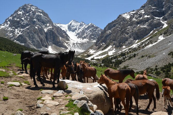 One day Trek in Osh to Sacred Sites and Panoramic Views - Osh to Sacred Mountain: Why This Day Trek Feels Different