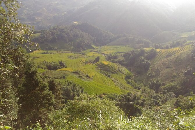 One day Trekking in Sapa and Muong Hoa Valley with local guide - Should you book this Sapa trekking day?