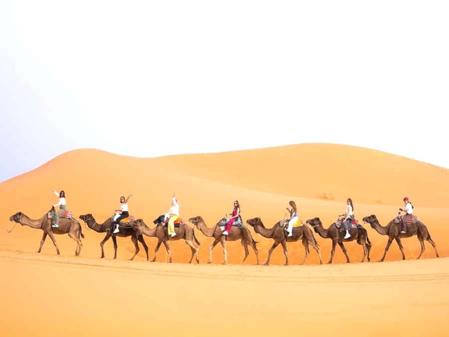 Ouarzazate to Marrakech: 3-Day Desert Tour with Camel Trek - Todra Gorges: The Walk Under the 300-Meter Cliffs