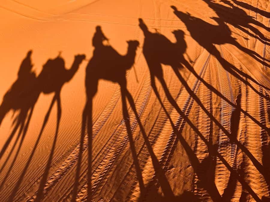 Ouarzazate to Marrakech: 3-Day Desert Tour with Camel Trek - Erg Chebbi Camel Trek: Sunrise and Sunset Are the Real Magic