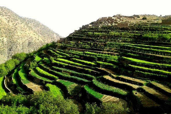 Ouirgane Trekking & Hiking from Ouirgane to Imlil – 4 Days - Key Highlights You’ll Care About