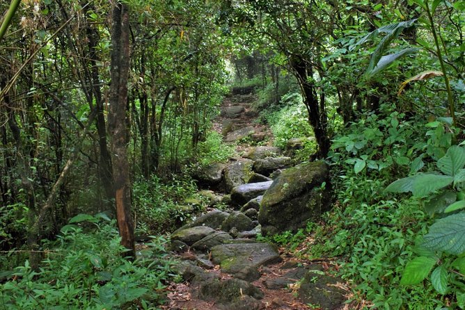 Overnight Adventure Trekking in Knuckles - Key things I’d pack for the Knuckles overnight trek