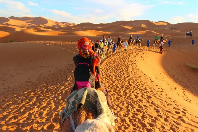 Overnight Camel trek in Merzouga dunes - Sandboarding, Wildlife Search, and What to Expect on the Trek