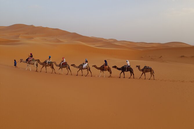 Overnight Camel trek in Merzouga dunes - Price and Value: Why This Overnight Often Feels Like a Deal