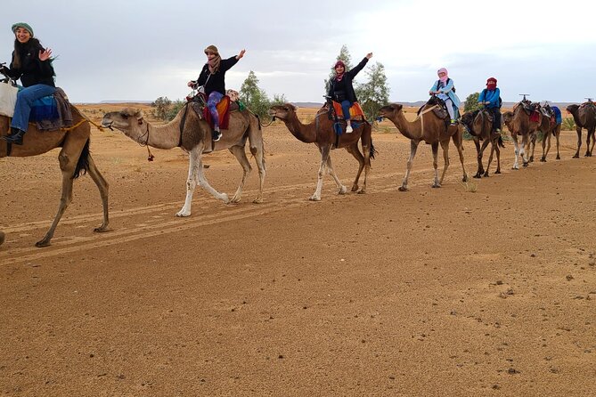Overnight Camel trek in Merzouga dunes - Practical Tips for Getting the Most From the Night