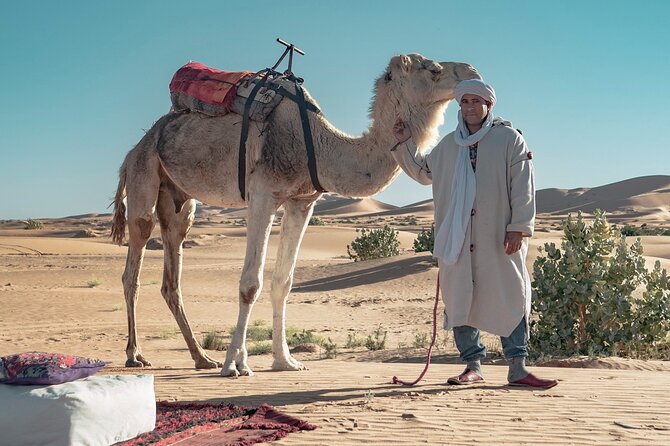 Overnight Camel trekking in Merzouga - Merzouga to the dunes: the part most people underestimate