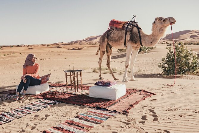 Overnight Camel trekking in Merzouga - Who should book this overnight camel trek in Merzouga