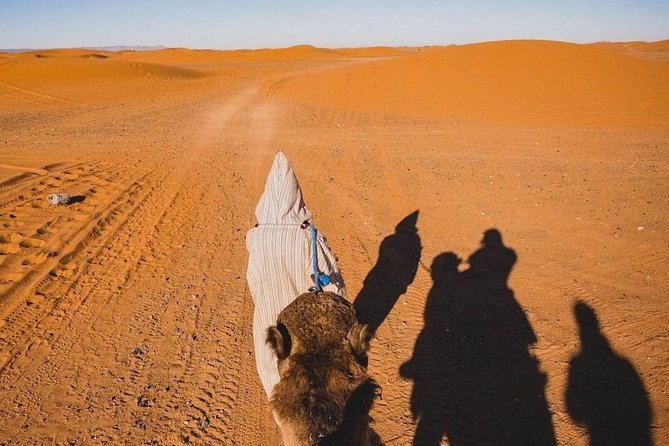 Overnight Camel trekking in Merzouga - Price and value: is $58.73 actually fair?