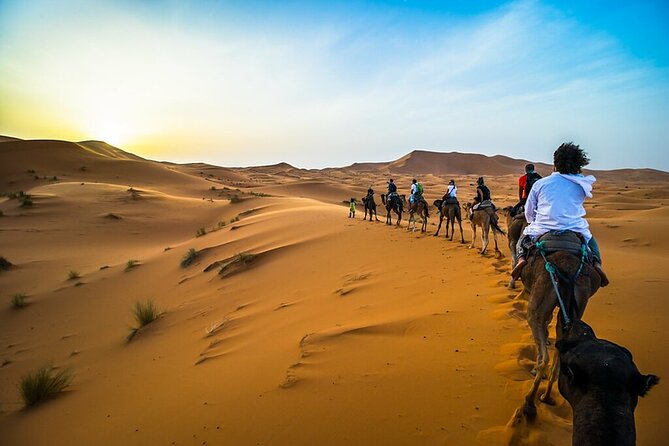 Overnight Camel Trekking Merzouga Desert - From Merzouga Start Time to Your First Steps on a Camel