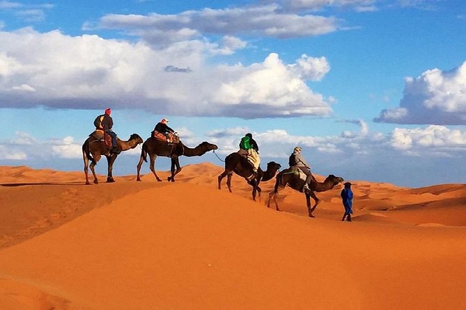 Overnight Camp Camel Trekking In Merzouga - Two Camp Options in Merzouga: Standard vs Luxury Tents