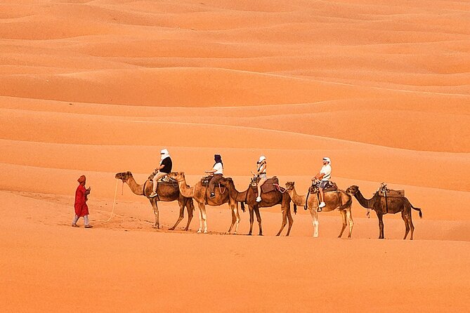 Overnight Camp Camel Trekking In Merzouga - Included Value: Why This $58.16 Price Often Works