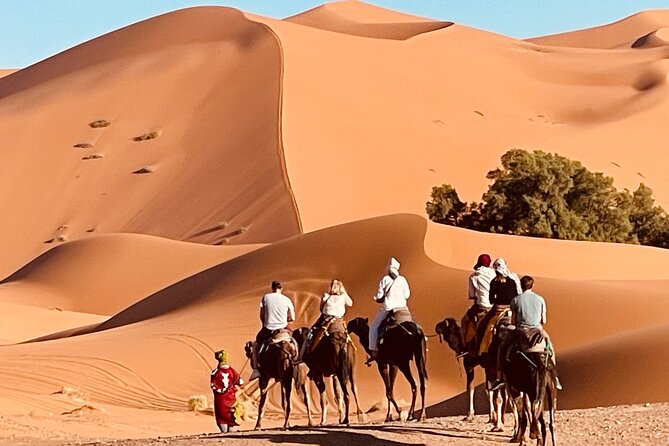 Overnight stay in desert camp & Camel trekking in the Sahara - Key highlights worth your attention