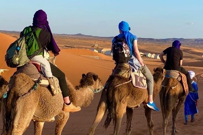 Overnight stay in desert camp & Camel trekking in the Sahara - Camel Trek From Merzouga: the pace, the views, the reality