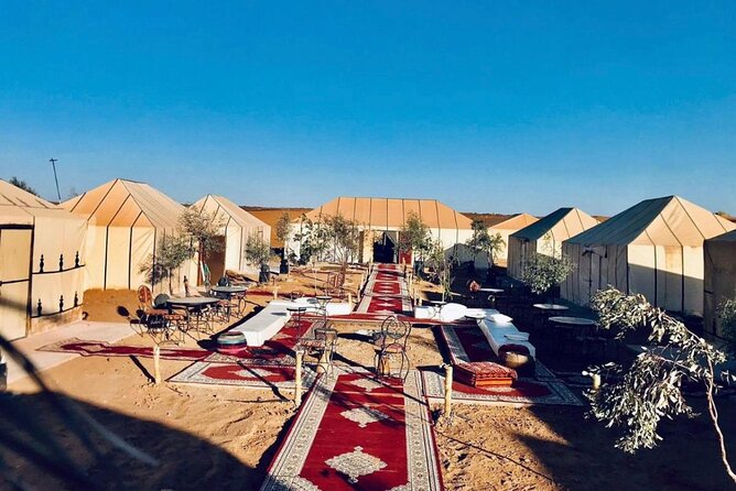 Overnight stay in desert camp & Camel trekking in the Sahara - Day 2 sunrise: early dune time, shower, and breakfast before you ride back