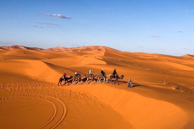 Overnight stay in desert camp & Camel trekking in the Sahara - Who this overnight Sahara tour is best for
