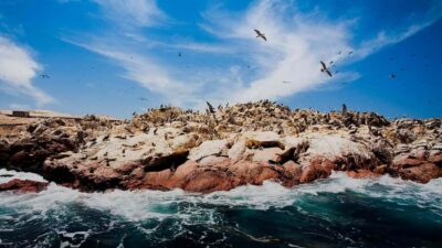 PARACAS|| Sunset trekking in the Paracas National Reserve - Where You Meet and How the Timing Works (14:45 Start)