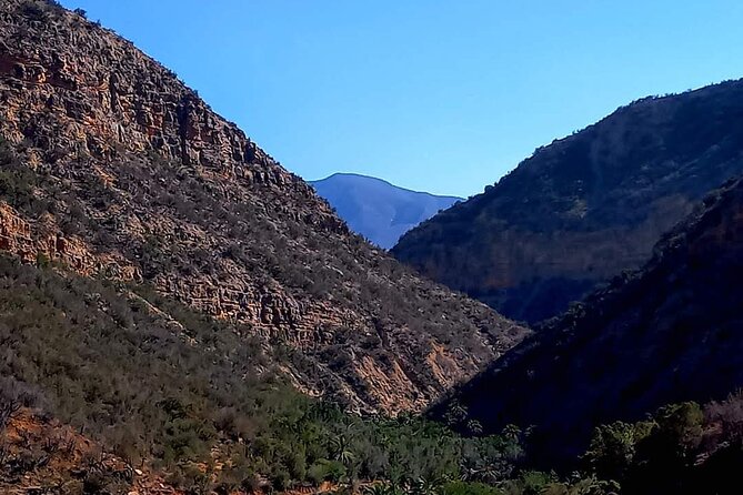 Paradise Valley Trekking - The Guided Wadi Walk: What the Two-Hour Stroll Feels Like