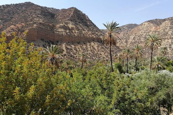 Paradise Valley Trekking - The Herbary Stop: Spices, Argan Oil, and Black Soap