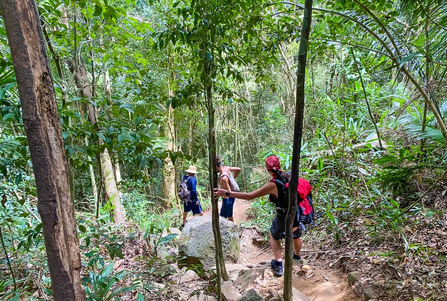 Paraty: Pão de Açucar Peak Trekking and Hiking Tour - Key Moments You’ll Remember