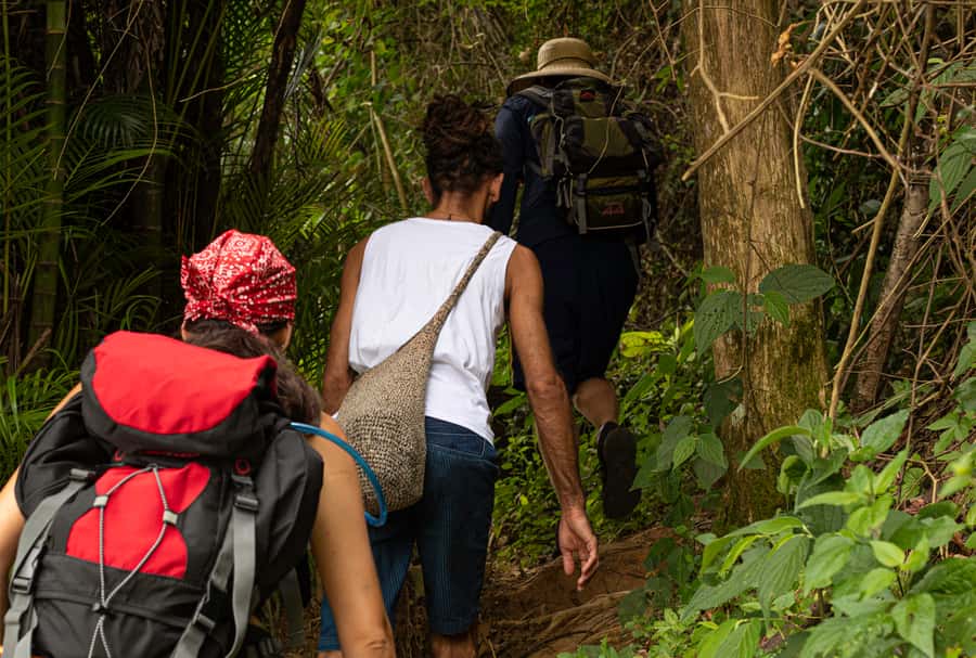 Paraty: Pão de Açucar Peak Trekking and Hiking Tour - What’s Included in the $115 Price (And Why It Adds Up)