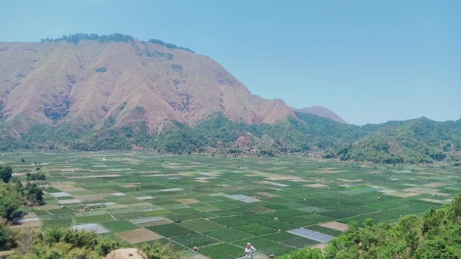 Pergasingan Hill Trek: Unveiling the Beauty of Sembalun - Bukit Selong: panoramic views with a different feel